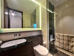 The Meyerise (D15), Condominium #480157811
